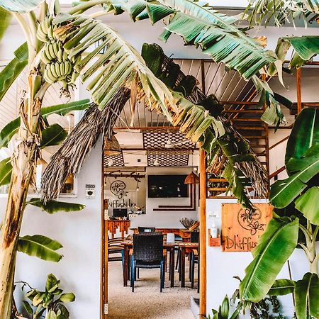 Dhiffushi Inn Bagian luar foto
