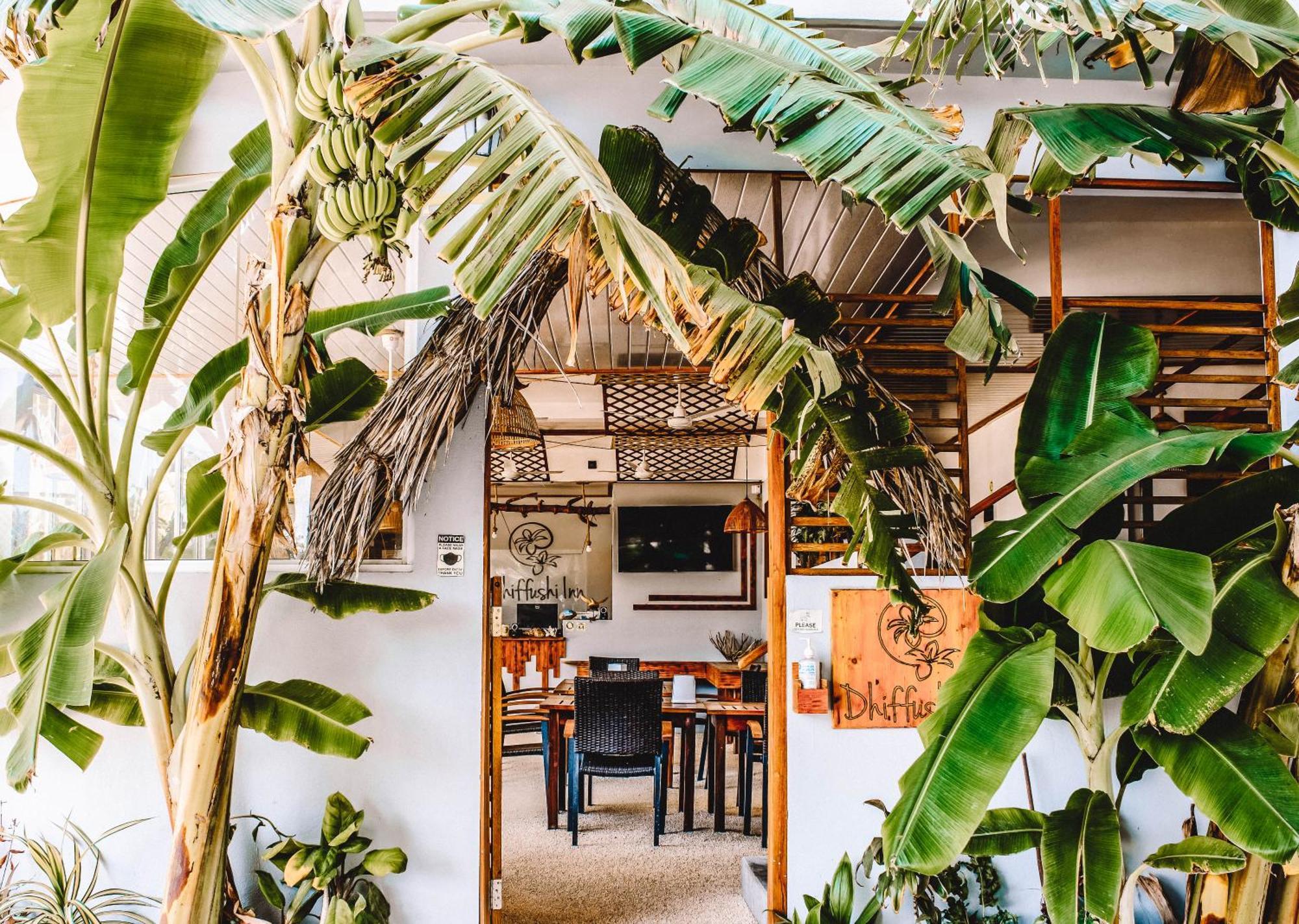 Dhiffushi Inn Bagian luar foto